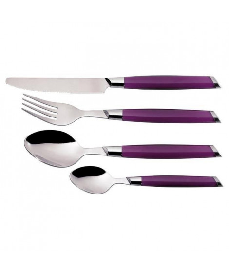JEAN DUBOST Ménagere 24 pieces ANGLE - Aubergine
