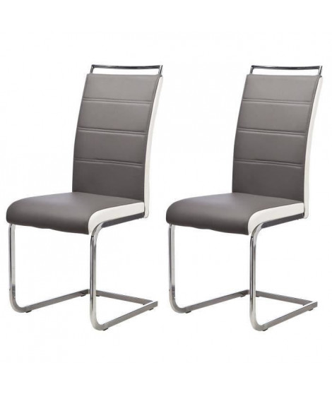 DYLAN lot de 2 chaises de salle a manger Gris/Banc