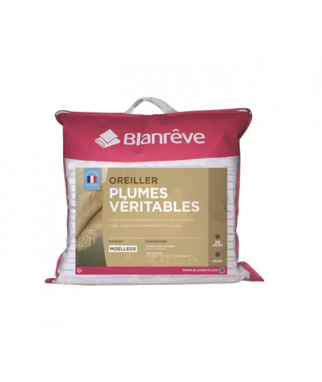 BLANREVE Lot de 2 oreillers PLUMES 60x60cm