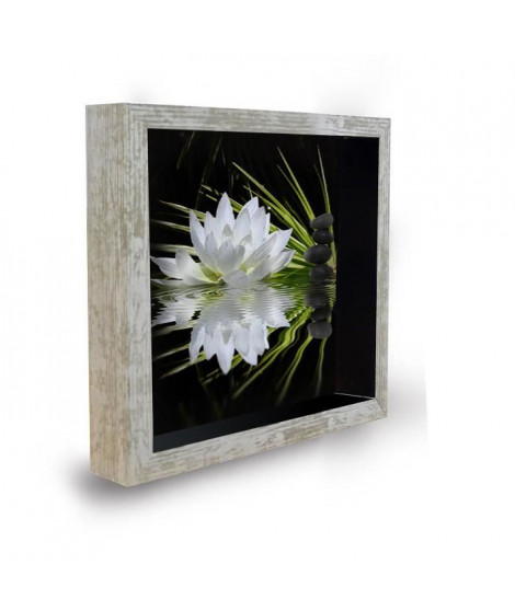 Tableau déco cadre vitrine 20x20 - Lotus zen