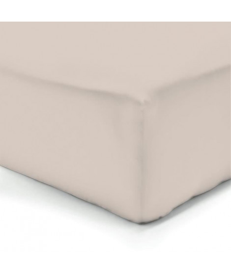 VISION Drap housse 100% coton - 160x200 cm - Beige mastic