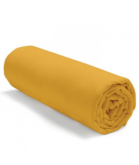 TODAY Drap housse jersey 100% coton - 140x190 cm - Jaune safran