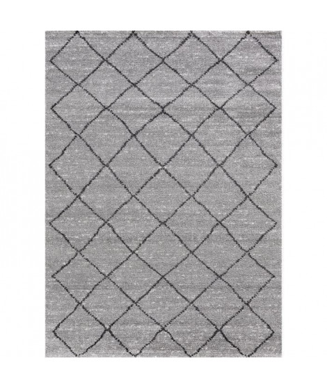 TOUAREG Tapis de couloir style berbere - 60 x 110 cm - 100% polypropylene - Gris
