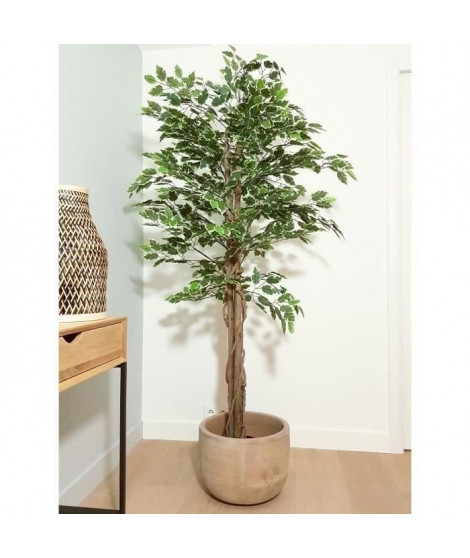 Ficus artificiel - Hauteur 180 cm