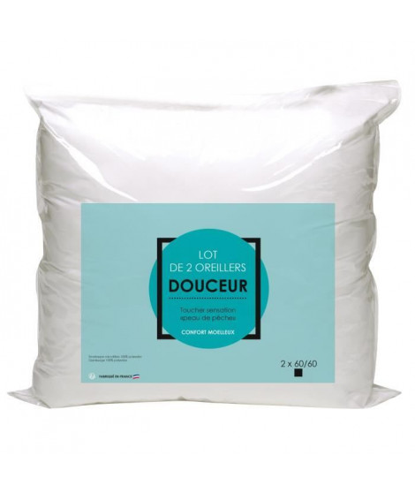 Lot de 2 oreillers Microfibre 60x60cm