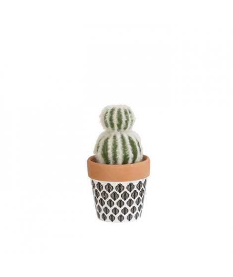 Mini Cactus double - En pot ethnique noir