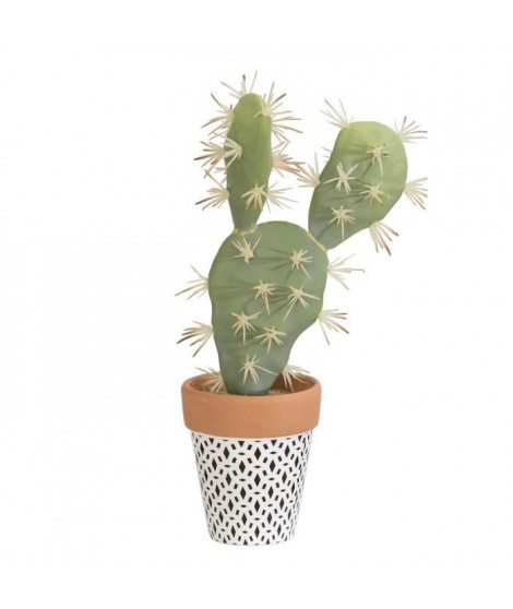 Cactus Plat - En pot ethnique noir