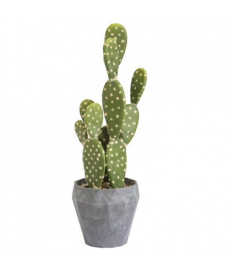 Cactus Mexicain GM - En pot gris