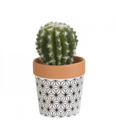 Mini Cactus boule - En pot ethnique noir