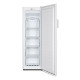 CONTINENTAL EDISON Congélateur armoire 186L, , Total No Frost, poignée métal, thermostat électronique, L 55 xH 169 cm, blanc