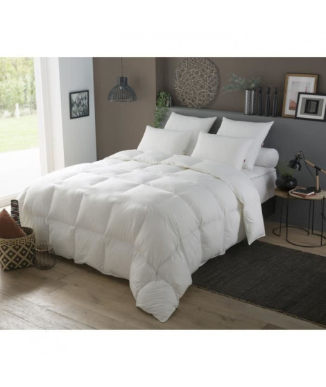 Couette Duvet - 240 x 260 cm - Tempérée - 70% Plumettes 30% Duvet Oie et Canard - 2 personnes - Blanc - DODO