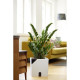 Pot de fleurs carré - EDA Aqualight a réserve d'eau intelligente - 35 x 35 cm 34,5 x 34,5 x 35 cm - blanc ivoire