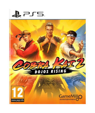 Cobra Kai 2 Dojos rising Jeu PS5