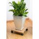 NATURE Tablette a roulettes pour plantes - Bambou composite - H8 x 30 x 30 cm