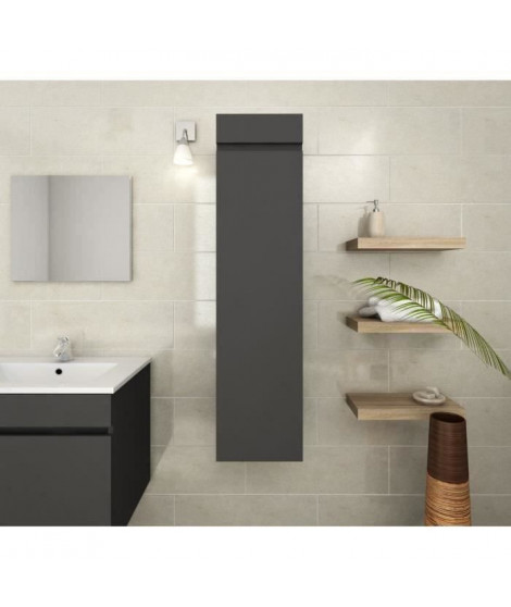 LUNA Colonne de salle de bain L 25 cm - Gris mat