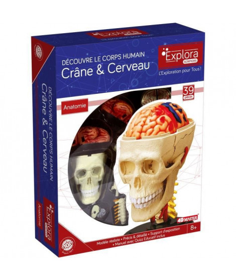 Anatomie crâne et cerveau - Expérience anatomie - Explora science - MGM