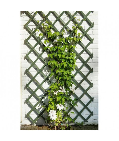 Nature Trellis de jardin 50 x 150 cm Bois Vert