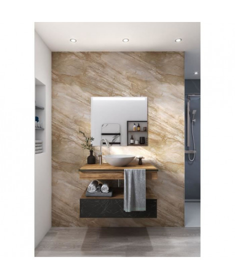 AURYS - Miroir SERENITY - 700*1200 - 4 mm