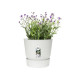 ELHO Pot de fleurs rond Greenville 40 - Extérieur - Ø 39 x H 36,8 cm - Blanc