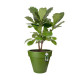 ELHO -  Pot de fleurs - Pure Round Grass 40 - Vert Sportif - Intérieur/extérieur - Ø 39 x H 35 cm