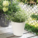 DEROMA Pot de fleurs Save R bianco a réserve d'eau - Coloris blanc - 20cm