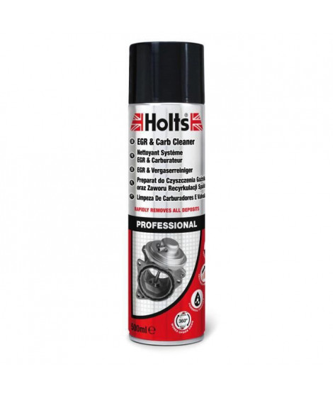 HOLTS Nettoyant systeme EGR et carburateur - Diesel / Essence