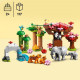LEGO 10974 DUPLO Animaux Sauvages d'Asie, Jouet Tapis de Jeu, avec Figurines Éléphants et Tigres, pour Enfants de 2 a 5 Ans