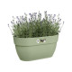 ELHO - Pot de fleurs -  Vibia Campana Easy Hanger Medium - Vert Pistache - Balcon extérieur - L 24.1 x W 36 x H 26.5 cm
