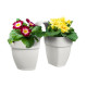 ELHO - Pot de fleurs -  Vibia Campana Flower Twin 21 - Blanc Soie - Balcon extérieur - L 38.4 x W 20.5 x H 26.5 cm