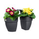 ELHO - Pot de fleurs -  Vibia Campana Flower Twin 21 - Anthracite - Balcon extérieur - L 38.4 x W 20.5 x H 26.5 cm