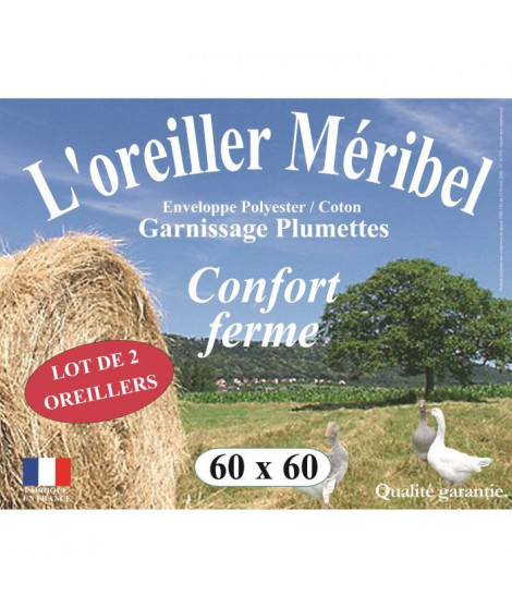 DODO Lot de 2 Oreillers MERIBEL Plumettes 60x60cm