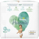 PAMPERS Harmonie Taille 4+ - 26 Couches