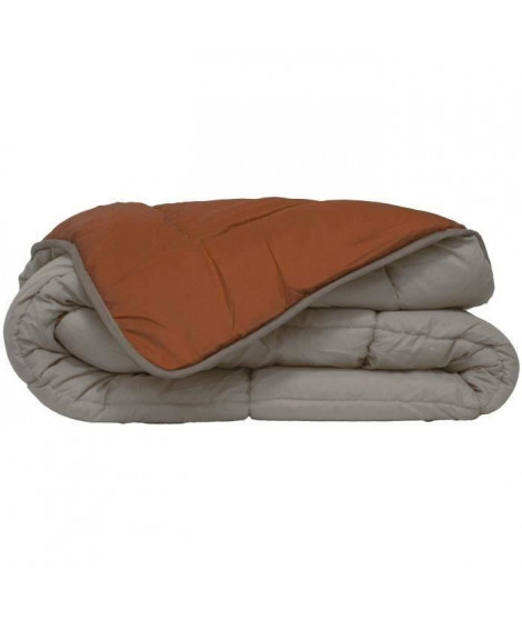 POYET MOTTE Couette Microfibre 400g/m² CALGARY - 140 x 200 cm - Gris galet et Marron gimgembre