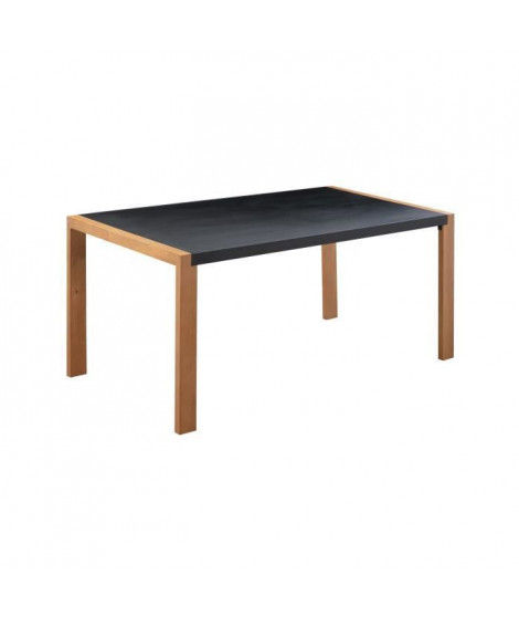 Table a manger de jardin - Acier thermolaqué + Pieds en bois + Trivanite - 162 x 80 x 74 cm