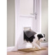 PetSafe - Chatiere pour chien et chat, animaux de compagnie 45 kg, Cadre Aluminium, pour bois, PVC, murs de briques