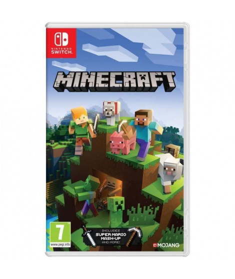 Minecraft switch