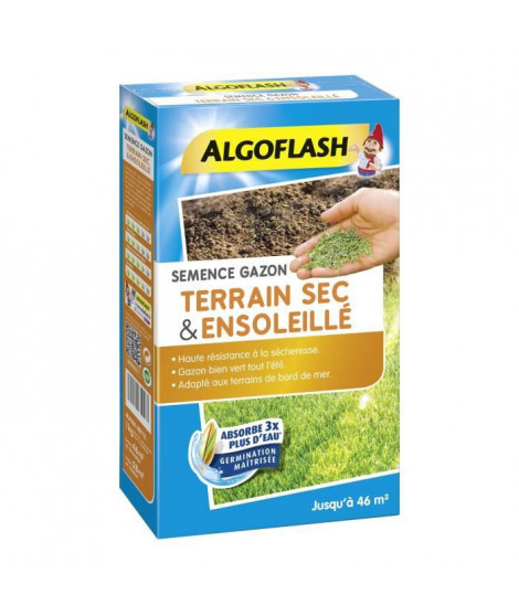 ALGOFLASH - Gazon terrain sec ensoleillé 1kg