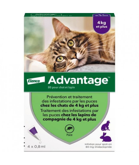 Advantage Solution Antipuce Chat Lapin +4kg 4 pipettes