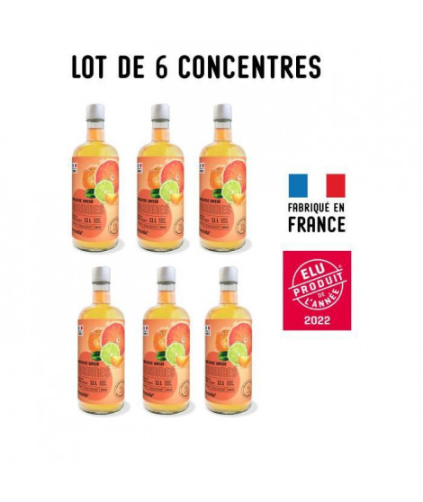 MYSODA - Lot de 6 Concentrés saveur Agrumes 685ml