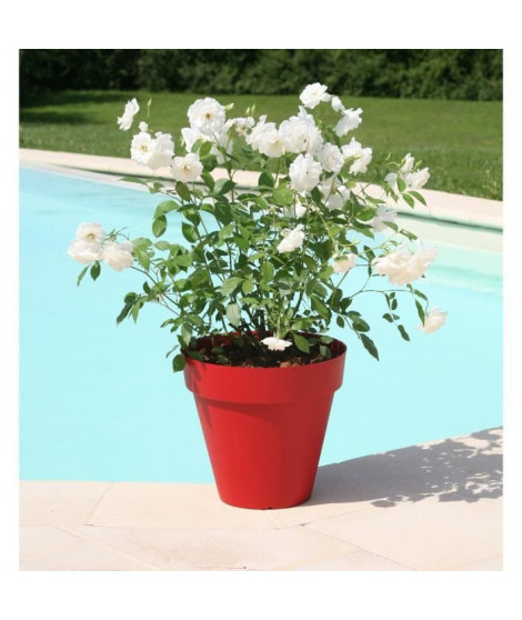 RIVIERA Pot de fleurs Soleilla -Rond - Ø 39,2 x 35,8 cm - Rouge