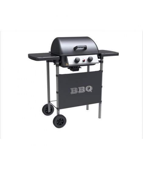 SYLVER STYLE Barbecue a gaz 2 bruleurs en inox - 2500 W