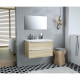 Ensemble meuble de de salle de bain L 80 - 2 tiroirs + Vasque céramique + miroir - ZOOM