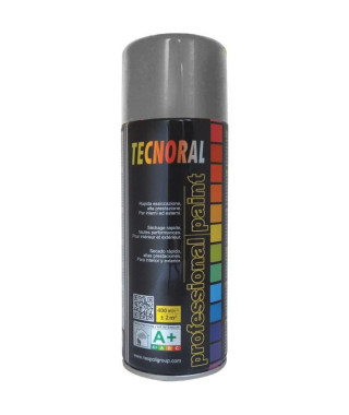 TECNORAL - Bombe de peinture aérosol  - Gris Argent