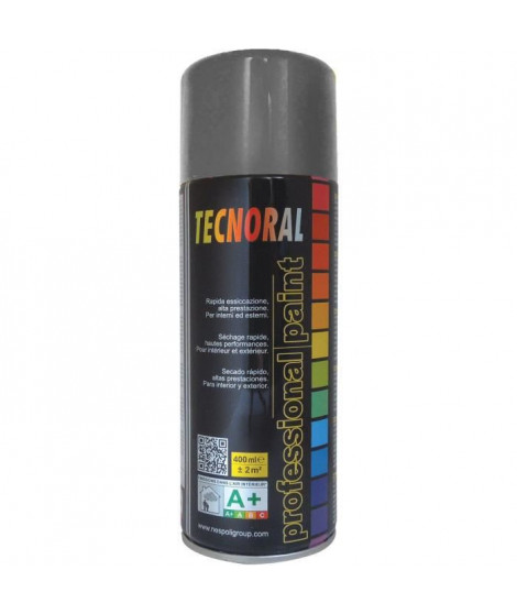 TECNORAL - Bombe de peinture aérosol - Gris Antracite