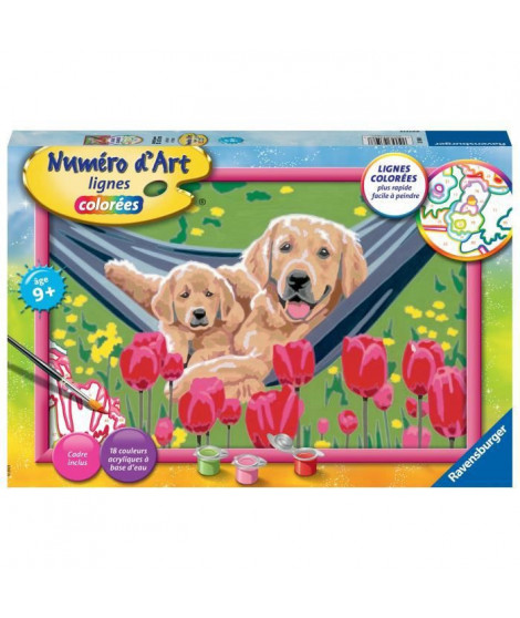 Numéro d'Art grand format - Labrador et tulipes -4005556235988 - Ravensburger