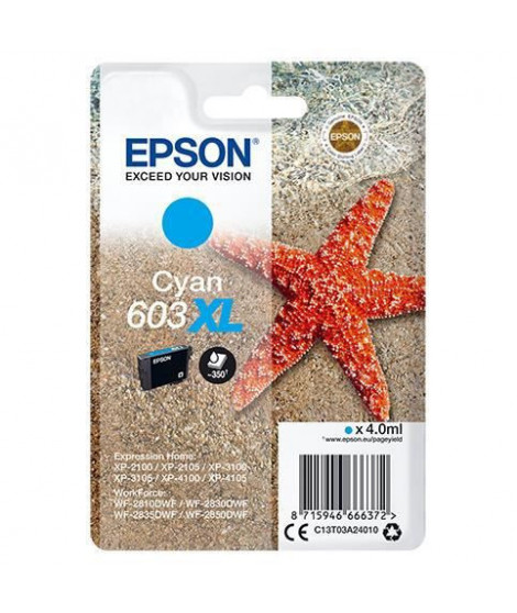 EPSON Cartouche d'encre 603 XL Cyan - Etoile de mer (C13T03A24010)