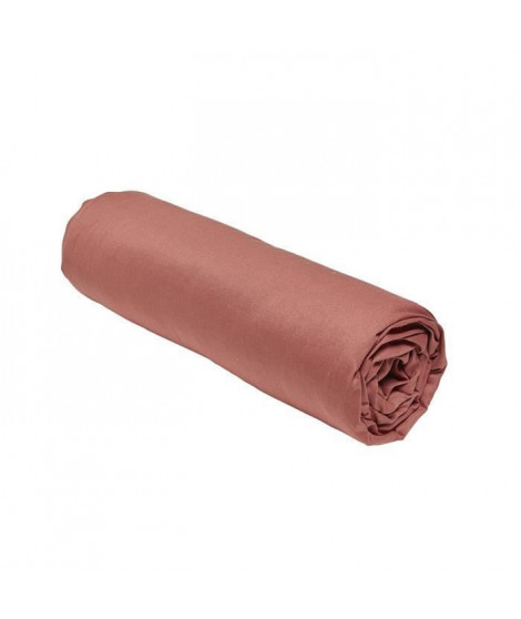 Drap housse TODAY Essential - 140 x 200+30 cm - 2 personnes - 100% Coton uni - Terracotta