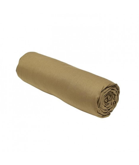 Drap housse TODAY Essential - 140 x 200+30 cm - 2 personnes - 100% Coton uni - Bronze