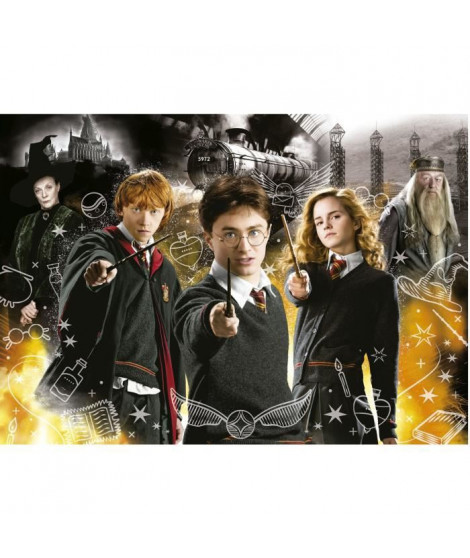 HARRY POTTER NEON PUZZLE 1 - Puzzle de 1000 pieces