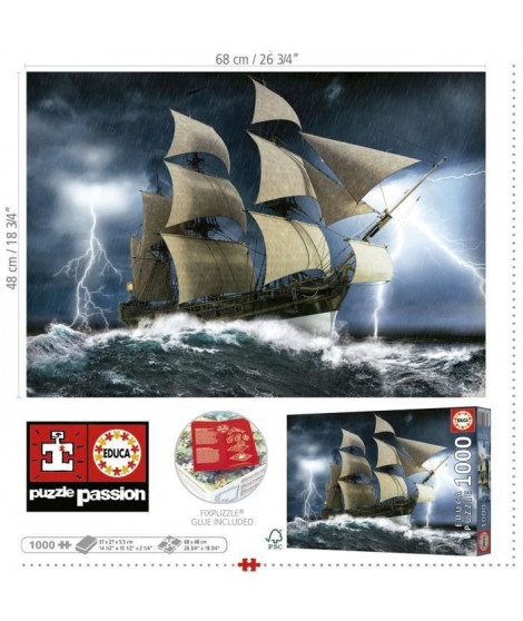 TEMPeTE PARFAITE - Puzzle de 1000 pieces